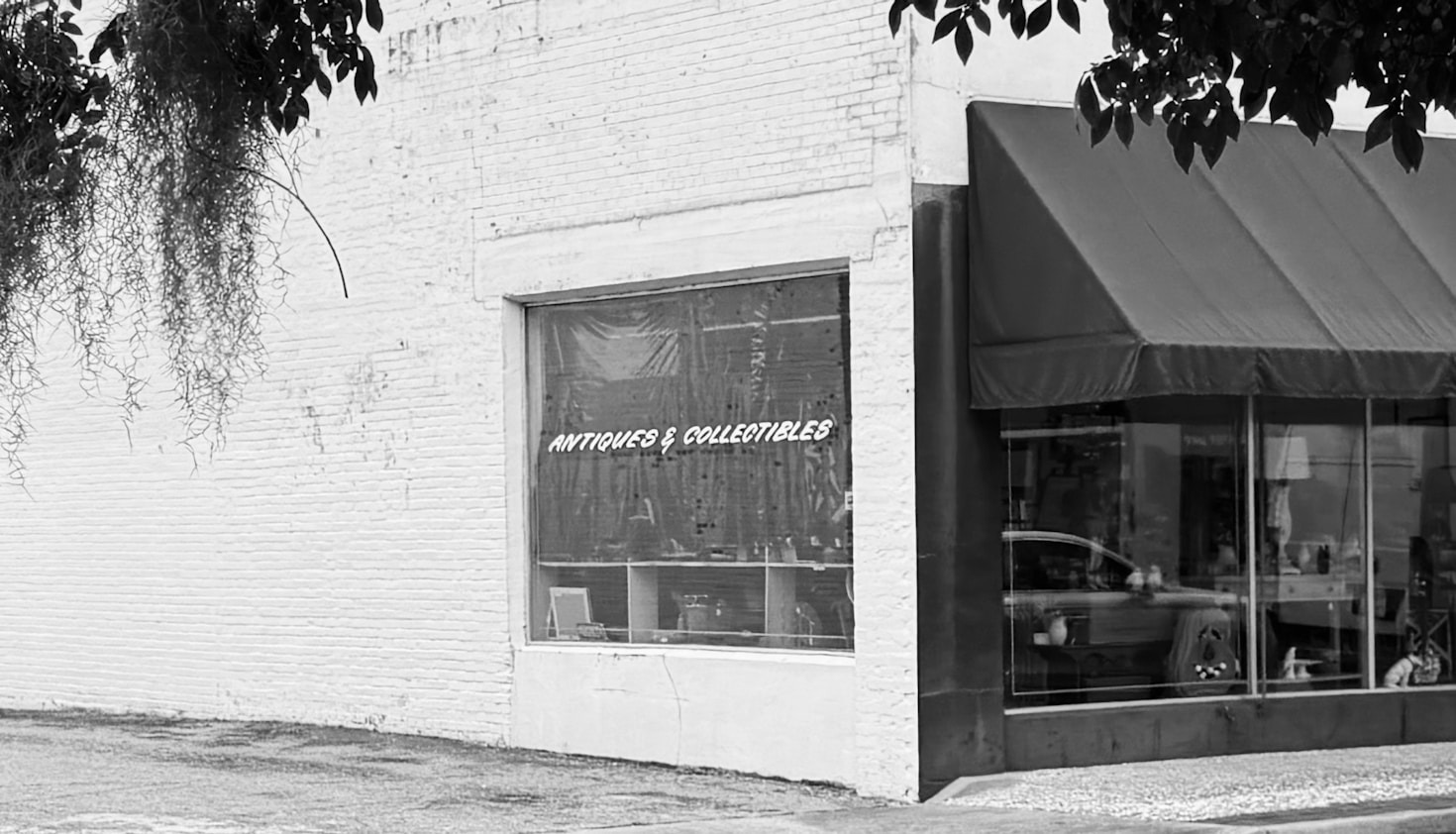 Kuriosaurus: Din portal till tidslösa skatter